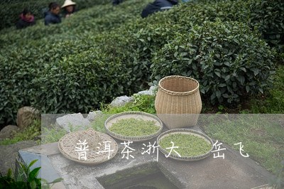 普洱茶浙大 岳飞/2023041272794